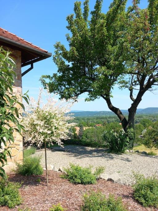 Apartamento Donauresidenz Dunabogdány Exterior foto
